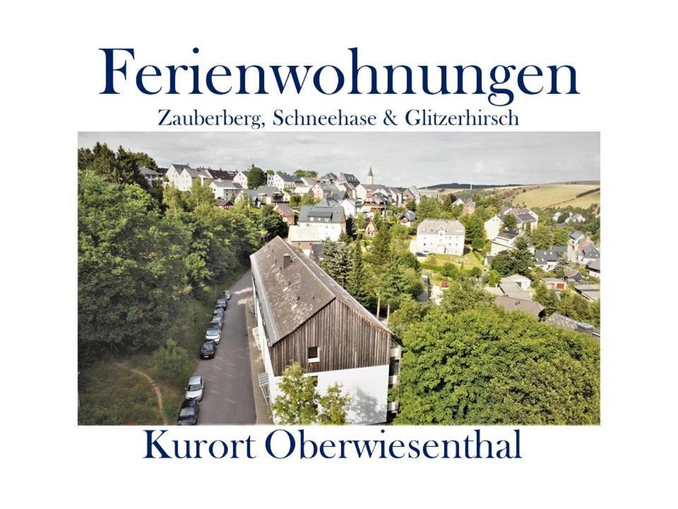 Ferienwohnungen Zauberberg&Glitzerhirsch Oberwiesenthal Exterior foto
